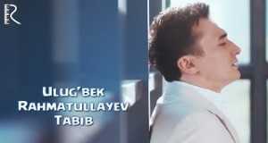 Tabib