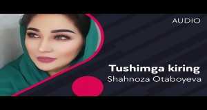 Tushimga Kiring Musik-Video