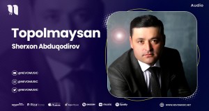 Topolmaysan Video Musik