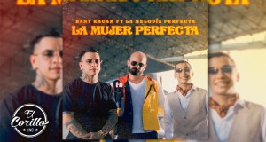 La Mujer Perfecta