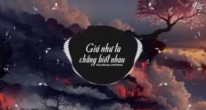 Giá Như Ta Chẳng Biết Nhau (2Ao Remix) د موسیقۍ ویډیو