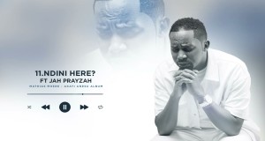 Ndini Here Müzik video