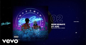Ndini Ndinaye Musiek video