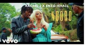 Ngoro Musek Video