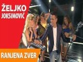 Ranjena Zver