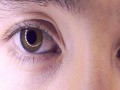 Amei Te Ver