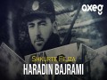 Haradin Bajrami