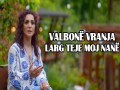 Larg Teje Moj Nanë