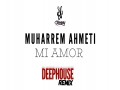 Mi Amor !deephouse! Pitch