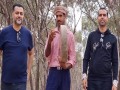 Dik Lebniya Yakouta