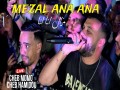 Mezalni Ana Ana