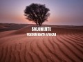 Solomente