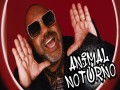 Animal Noturno