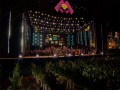 Fiesta De La Cosecha