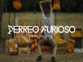 Perreo Furioso