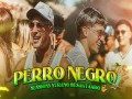 Perro Negro