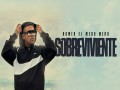 Sobreviviente