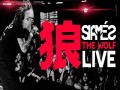 The Wolf Live