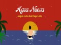 Agua Nueva