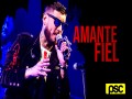 Amante Fiel