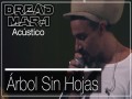 Arbol Sin Hojas (Acoustic)