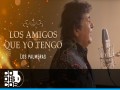 Los Amigos Que Yo Tengo