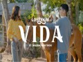 Vida