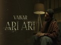 Ari Ari