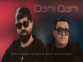 Qani Qani
