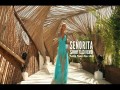 Señorita ( Remix)