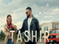 Tashir