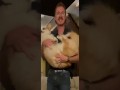 Party Dog