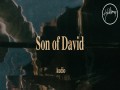 Son Of David