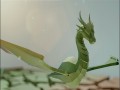 Paper Dragon