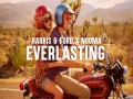 Everlasting