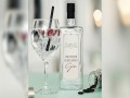 Gib Deinem Leben Einen Gin