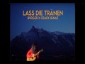 Lass Die Tränen