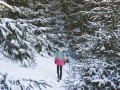 Let It Snow
