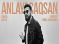 Anlayacaqsan
