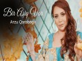 Bir Aşiq Var