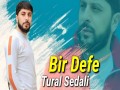 Bir Defe