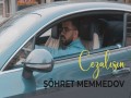 Cezalisin