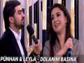 Dolanim Basina