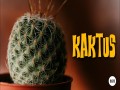 Kaktus