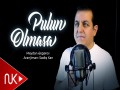 Pulun Olmasa