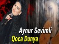 Qoca Dunya
