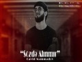 Sozde Alinmir