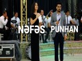 Nefes