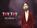 Toy Toy