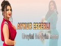 Ureyimi Verdiyim Adam